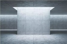 3MX2M VINYL PHOTOGRAPHY PHOTO