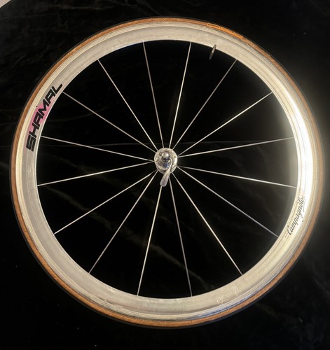 Campagnolo shamal spoke - shamal, 16