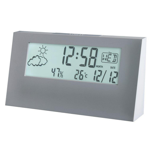 Pigeon grey weather station - grey,