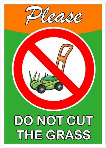 Please not cut - please, the