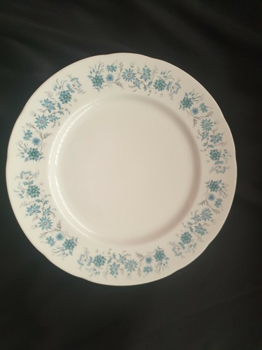 Dinner plates 26cm - x,