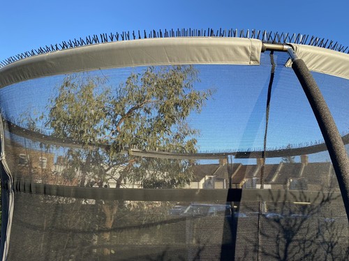 12ft trampoline bird - trampoline,