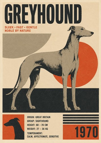 Greyhound print vintage - print, dog