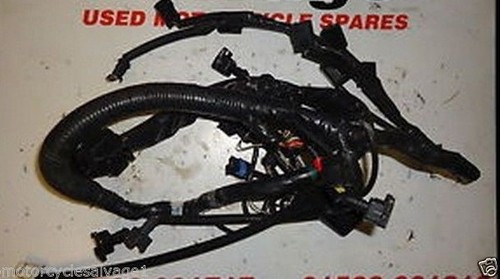 Triumph 600 2000 2001 - 600,