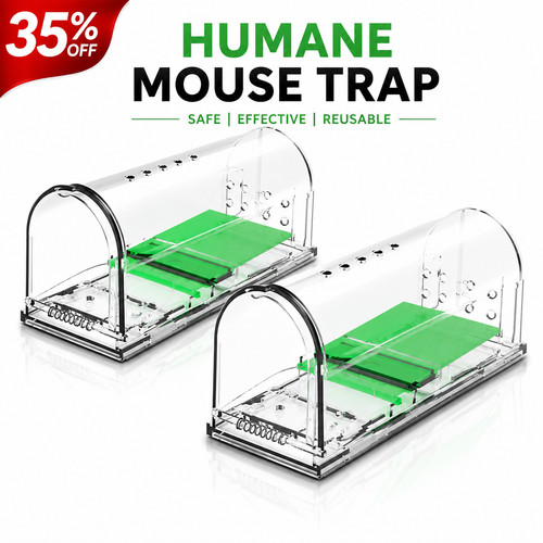 Humane mouse trap kill - no,