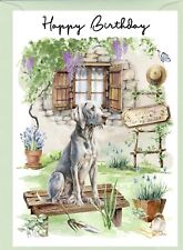 Weimaraner Dog (4"x 6") Birthday Card - blank inside - by Starprint