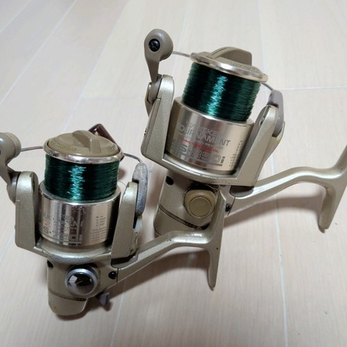 Daiwa whisker tournament - daiwa,