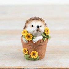 Hedgehog In A Plant Pot