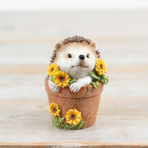 Hedgehog plant pot - plant,