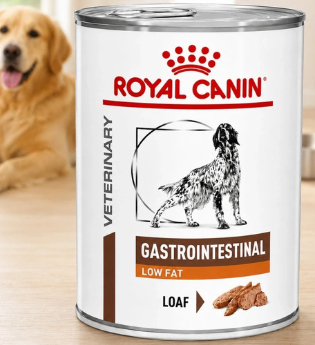 Royal canin gastro - royal,