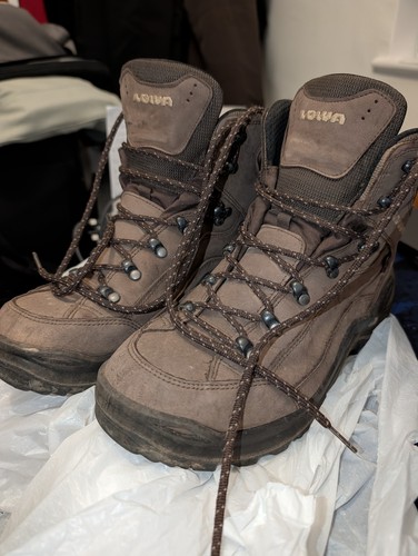 Lowa men renegade - gtx, mid