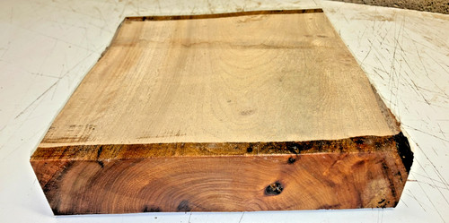 230x230x50mm lot 903a elm - 903a,