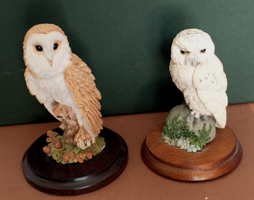 Country artists owl - country,