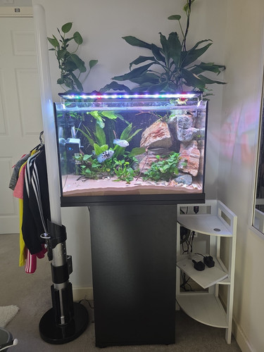 Jewul primo 70l glass - jewul,