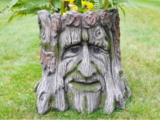 Greenman Tree Man Stump Wiccan
