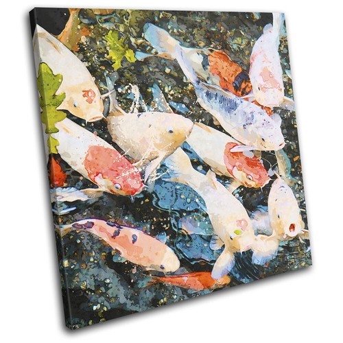 Koi carp pond fish - koi,