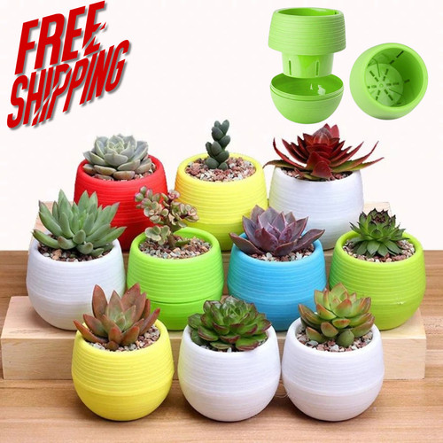 Mini flower pots - mini, 5/10/20pcs