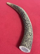 ONE PIECE OF RED DEER ANTLER 159g. aprox.23,5cm.
