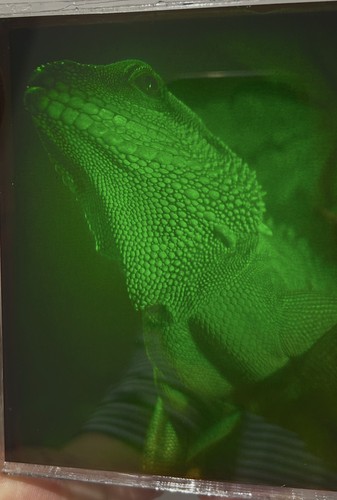 True laser hologram - true,
