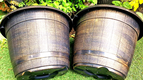 Xxl 38cm bronze colour - -,