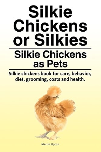 Silkie chickens silkies - or,