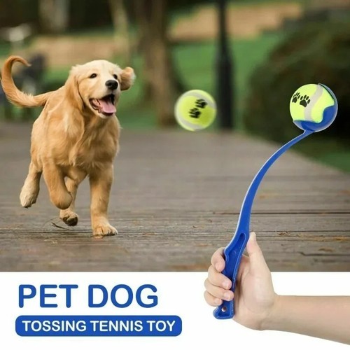 Dog tennis ball - dog,