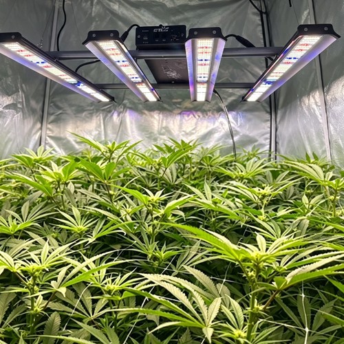 Ba4000w led grow - ba4000w,