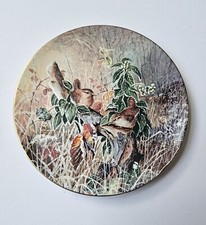 Wrens Frosty Morning