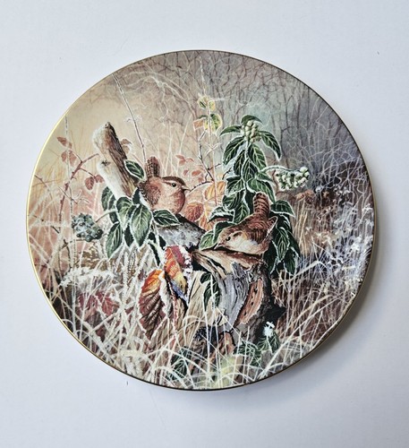 Wrens frosty morning - wrens,