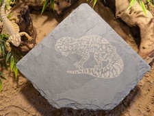 XL Large Personalised Laser Engraved Slate Corner Cave Hide Basking Reptile