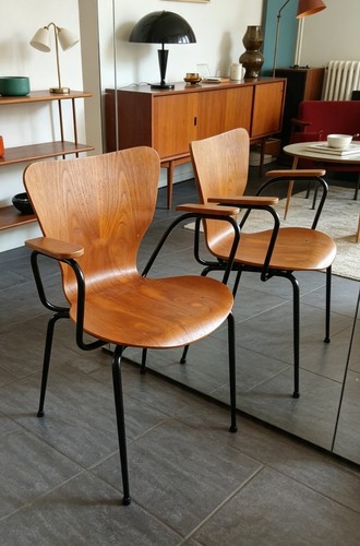Mücke melder teak - mücke,