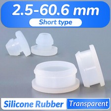 Transparent Short Silicone