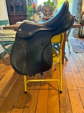 Kent And Masters 16.5”