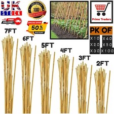 Bamboo Canes Thick Quality