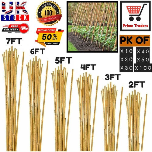 Bamboo canes thick - bamboo,