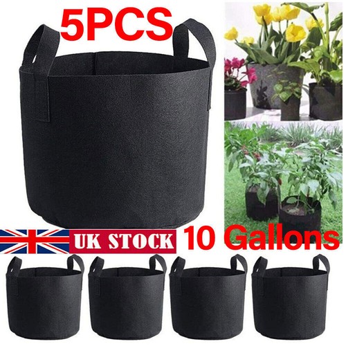 Pack large plant - 5, bags