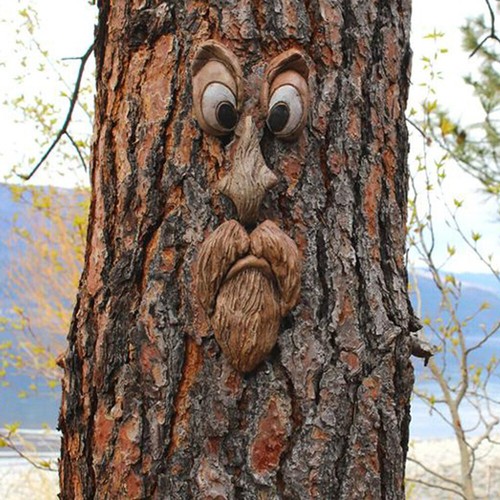 Outdoor tree funny - outdoor,