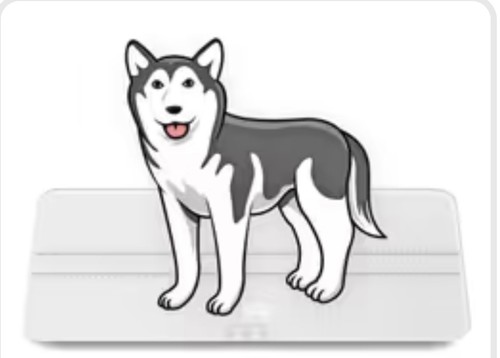 Digital pet scale - , dogs