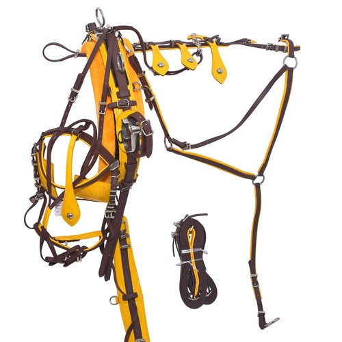 Pvc quick hitch - quick, trotting