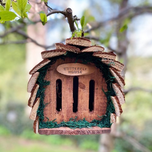 Wooden hanging butterfly house - hanging,