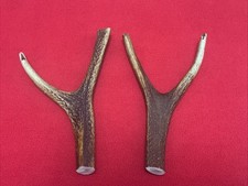 2 PIECES OF SIKA DEER ANTLERS, Y SHAPED FOR SLINGSHOT, WALKING STICKS ARTS (123)