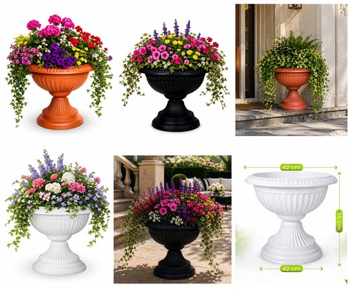 Grecian urn plant - urn, flower