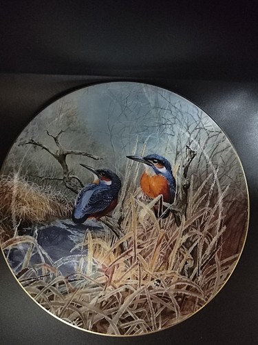 Coalport kingfisher dawn - coalport,,