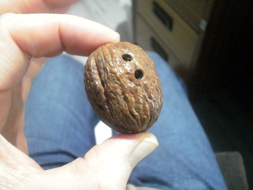 Walnut netsuke collectable