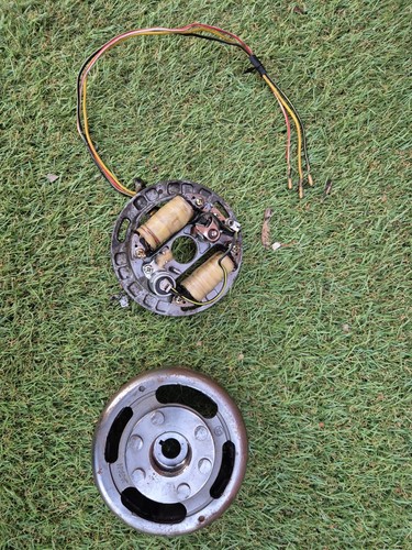 Suzuki fz50 stator and magneto - stator,