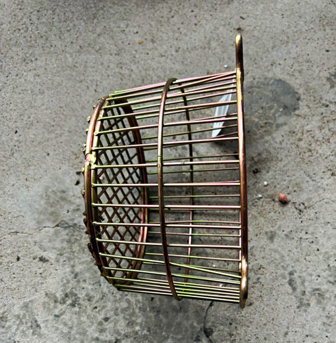 Boiler terminal flue guard