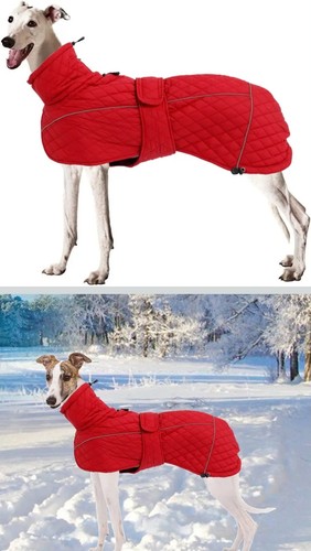 Greyhound lurcher winter - , coat
