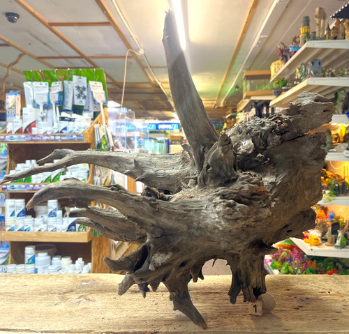 Large corbo root - root, aquarium