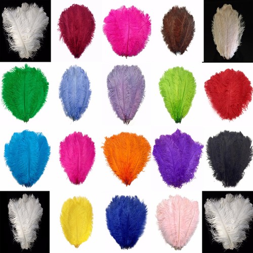 Ostrich feathers extra large - -,