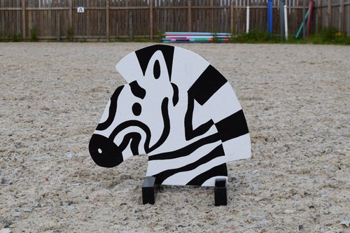 Zebra show jump fillers - zebra,